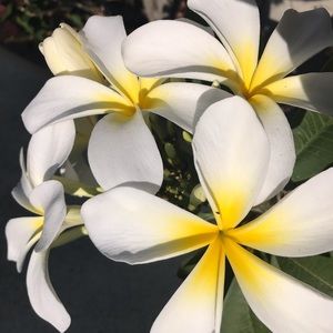 Meet your Posher, Mia